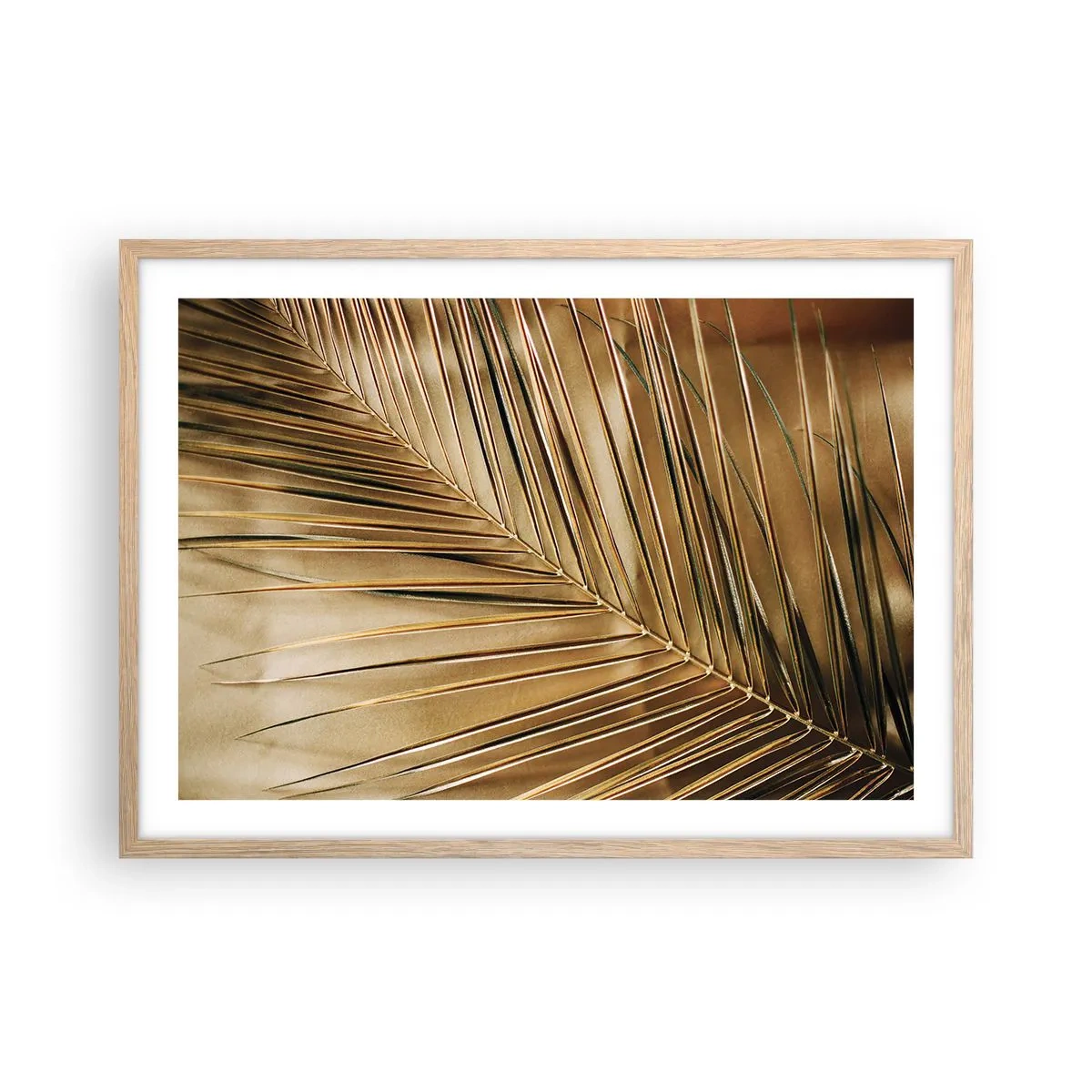 Affiche dans un chêne clair - Poster - Colonnade naturelle - 70x50 cm