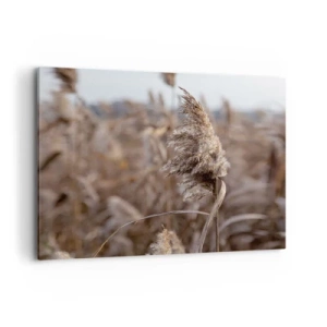 Impression sur toile - Image sur toile - Graminées délicates dans des tons beiges sur fond de nature - 120x80cm - Il est temps de s'envoler avec le vent - Décoration murale moderne pour le salon et la chambre ARTTOR