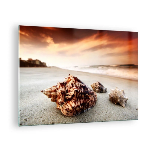 Impression sur verre - Image sur verre - Coquillages sur la plage au coucher du soleil - 70x50cm - Les parias des vagues - Décoration murale moderne pour le salon et la chambre ARTTOR
