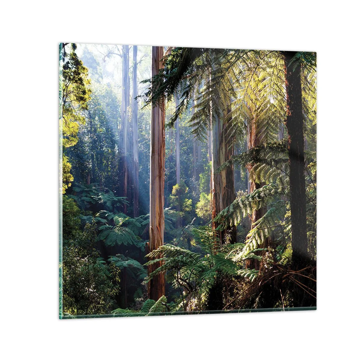Impression sur verre - Image sur verre - Fable de la forêt - 40x40 cm