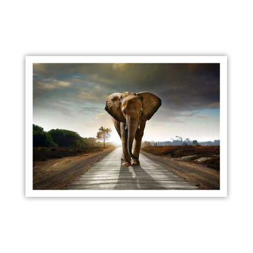 Affiche - Poster - Un éléphant marchant le long d'une route à travers un paysage au coucher du soleil - 100x70cm - Et pas du tout en porcelaine - Décoration murale moderne pour le salon et la chambre ARTTOR