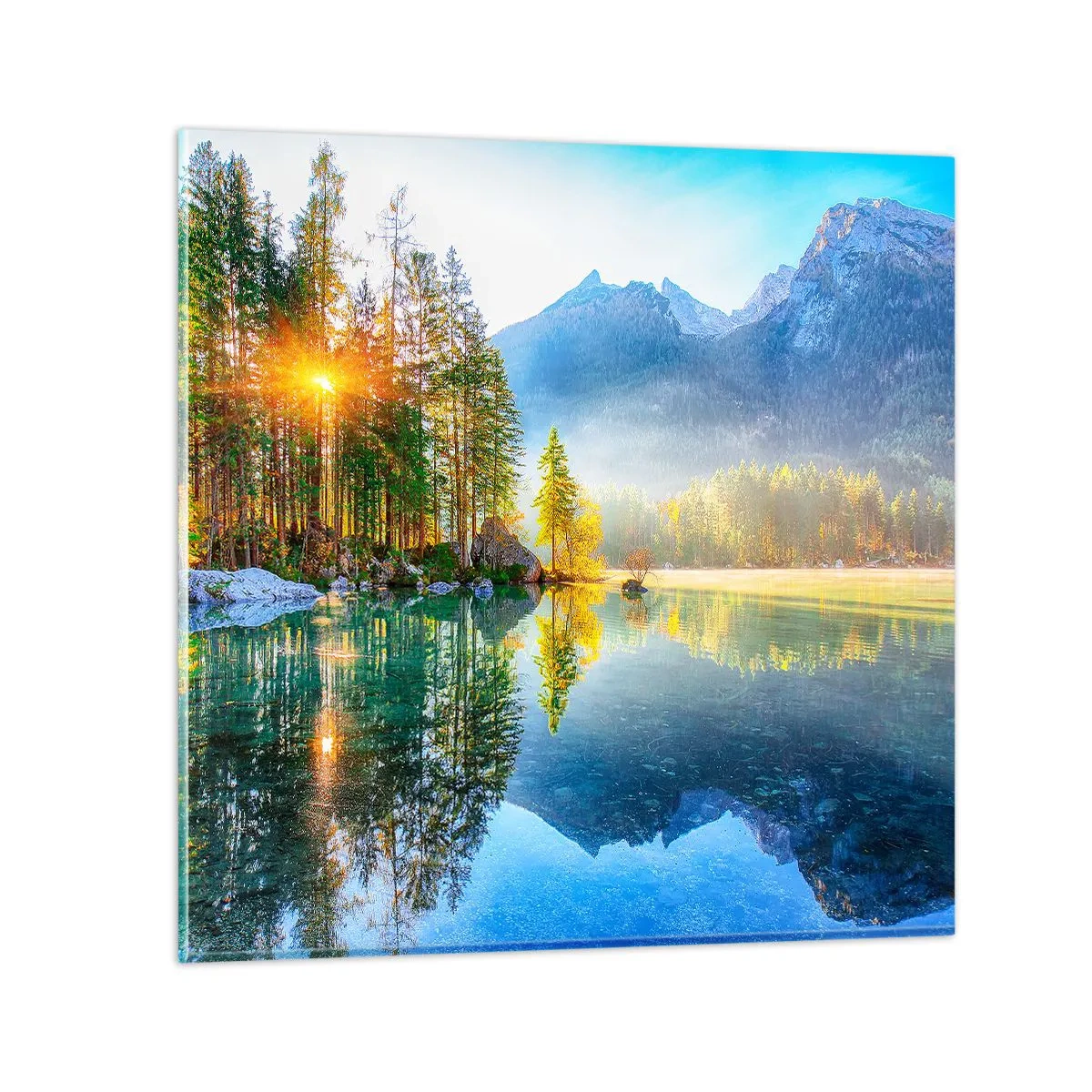 Impression sur verre - Image sur verre - Majesté et douceur - 70x70 cm