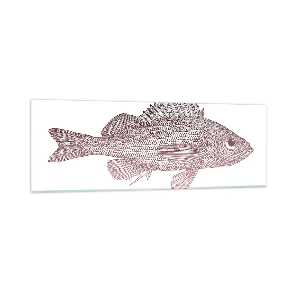 Impression sur verre - Image sur verre - Poisson aux grands yeux - 90x30 cm