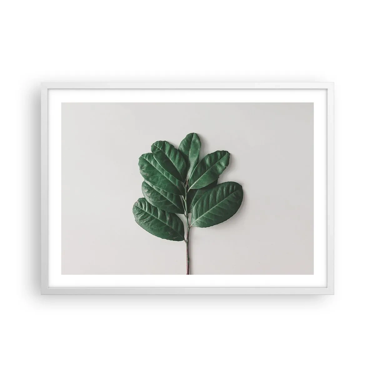Affiche dans un cadre blanc - Poster - Dessin de la nature elle-même - 70x50 cm