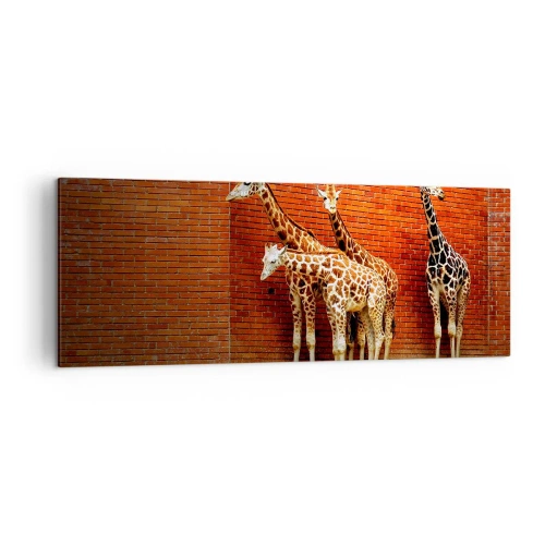 Impression sur toile - Image sur toile - Quatre girafes contre un mur de briques dans un décor artistique - 140x50cm - Voyez-vous des acacias ? - Décoration murale moderne pour le salon et la chambre ARTTOR