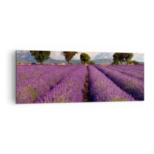 Impression sur toile - Image sur toile - Un champ de lavande avec des arbres sur fond de montagnes et de ciel - 140x50cm - Champs de lavande - Décoration murale moderne pour le salon et la chambre ARTTOR