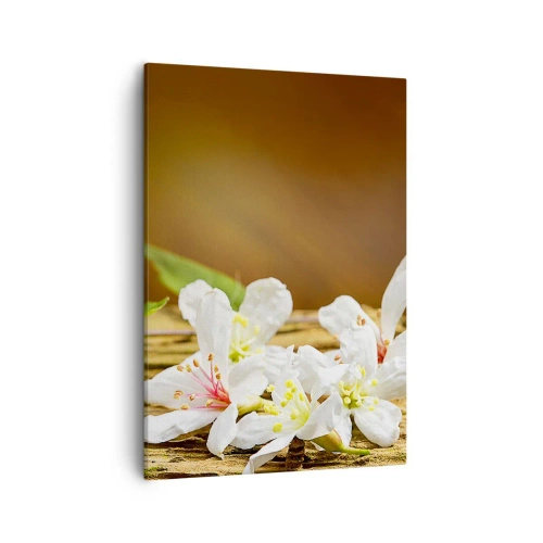 Impression sur toile - Image sur toile - Fleurs blanches sur fond de bois à la lumière naturelle - 50x70cm - Une promesse innocente - Décoration murale moderne pour le salon et la chambre ARTTOR