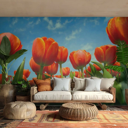 Papier Peint Photo Standard Eco - A part le ciel bleu, ils n'ont besoin de rien dans leur vie - Fleurs, Tulipes, Nature - 450x315 cm