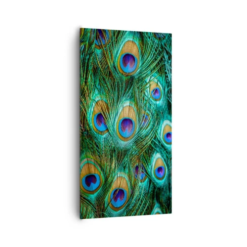 Impression sur toile - Image sur toile - Un regard de paon - 65x120 cm