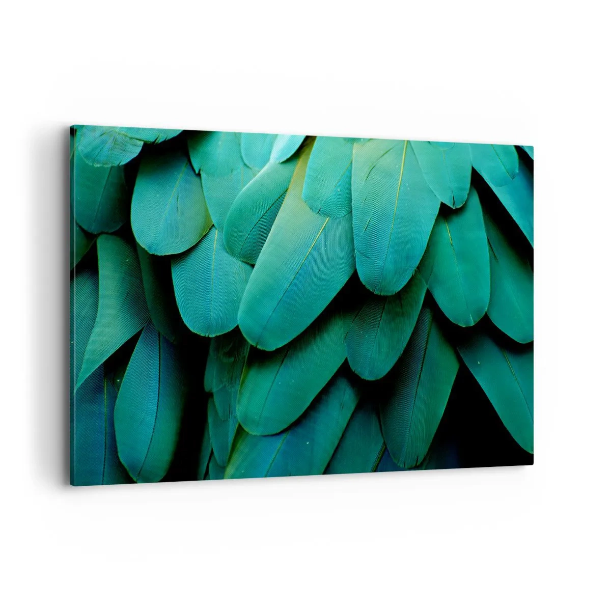 Impression sur toile - Image sur toile - Détail de plumes dans des tons de vert - 120x80cm - Perfection de la nature du perroquet - Décoration murale moderne pour le salon et la chambre ARTTOR