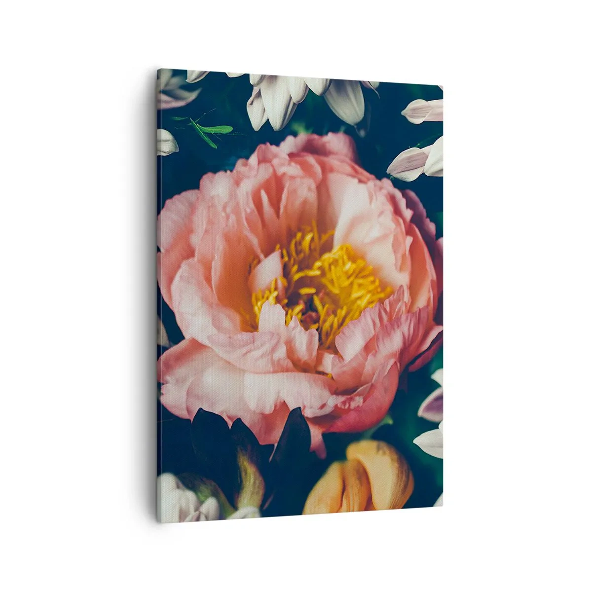 Impression sur toile - Image sur toile - Composition florale avec pivoines et chrysanthèmes sur fond sombre - 50x70cm - Splendeur baroque - Décoration murale moderne pour le salon et la chambre ARTTOR