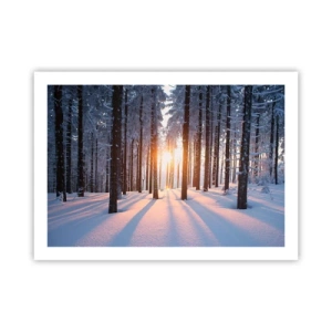 Affiche - Poster - Clairement en noir et blanc - 70x50 cm