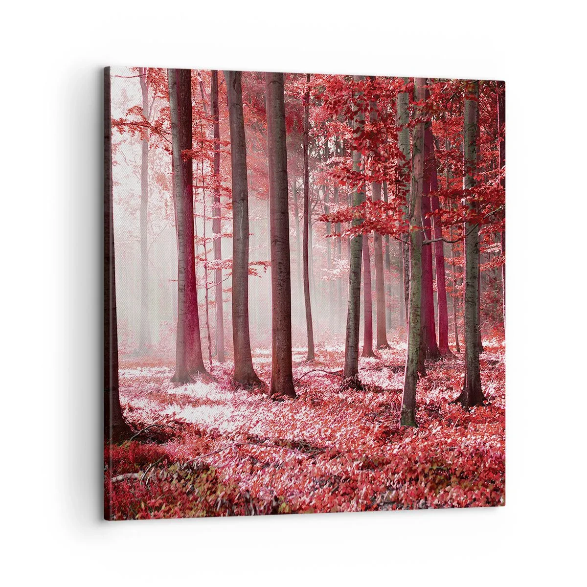 Impression sur toile - Image sur toile - Le rouge est tout aussi beau - 60x60 cm