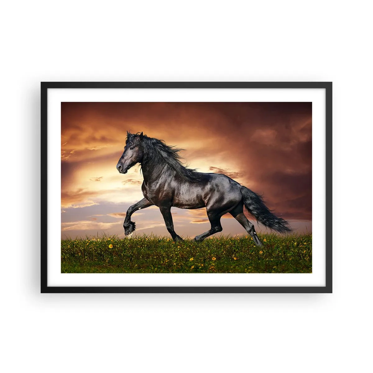 Affiche dans un cadre noir - Poster - Un cheval noir galopant contre le soleil couchant - 70x50cm - Livres noirs - Décoration murale moderne pour le salon et la chambre ARTTOR