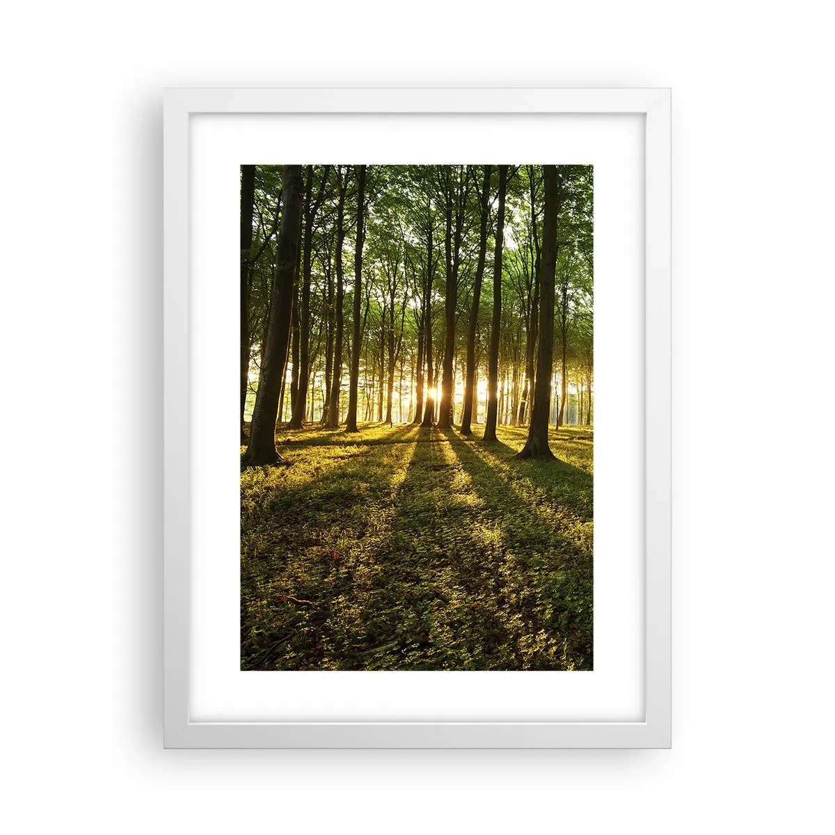 Affiche dans un cadre blanc - Poster - Toutes les photographies de printemps - 30x40 cm