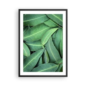 Affiche dans un cadre noir - Poster - Feuilles vertes disposées dans une composition dense - 50x70cm - Juteux et frais - Décoration murale moderne pour le salon et la chambre ARTTOR