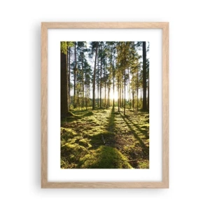 Affiche dans un chêne clair - Poster - … Derrière les sept forêts - 30x40 cm