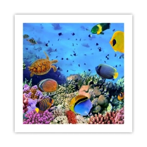 Affiche - Poster - Et que sait-on de la vie… - 50x50 cm