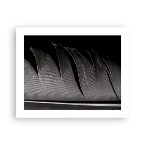 Affiche - Poster - La plume – un design magnifique - 50x40 cm