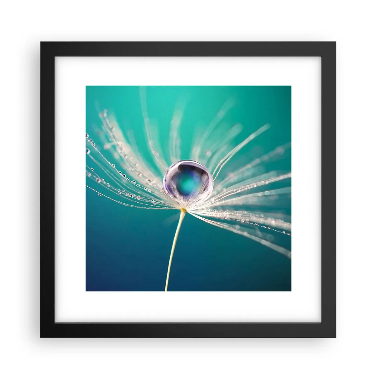Affiche dans un cadre noir - Poster - Moment mystique - 30x30 cm