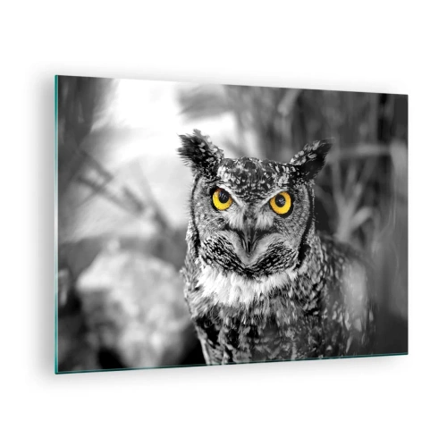 Impression sur verre - Image sur verre - Un hibou aux yeux jaunes sur fond noir et blanc - 70x50cm - Rien ne se cachera - Décoration murale moderne pour le salon et la chambre ARTTOR