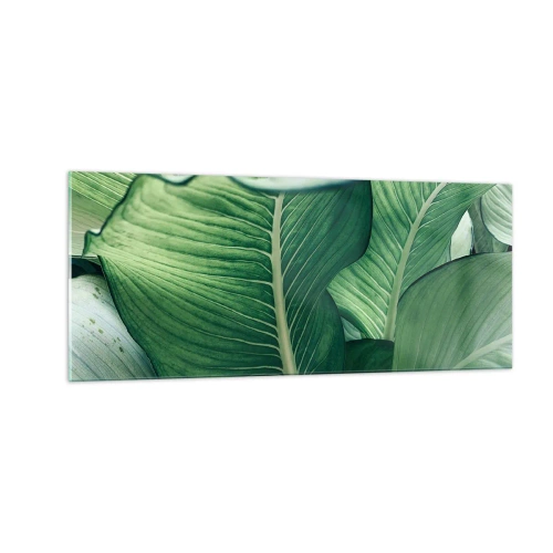 Impression sur verre - Image sur verre - Une vie intensément verte - 100x40 cm