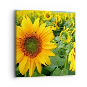 Impression sur toile - Image sur toile - Des centaines de soleils se sont embrasés - 40x40 cm