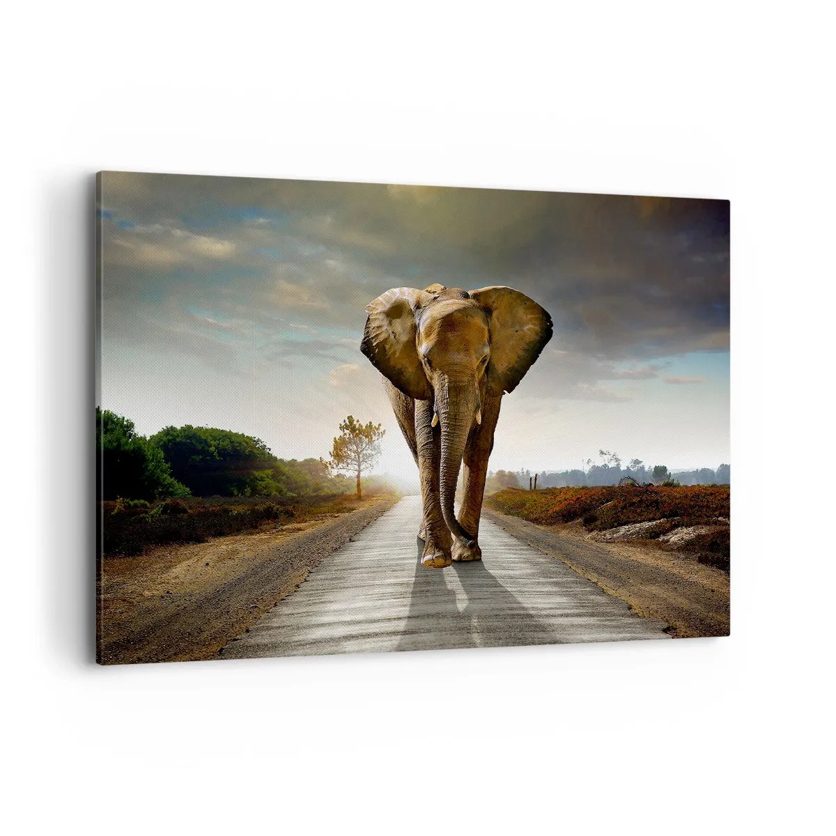 Impression sur toile - Image sur toile - Un éléphant marchant le long d'une route à travers un paysage au coucher du soleil - 120x80cm - Et pas du tout en porcelaine - Décoration murale moderne pour le salon et la chambre ARTTOR
