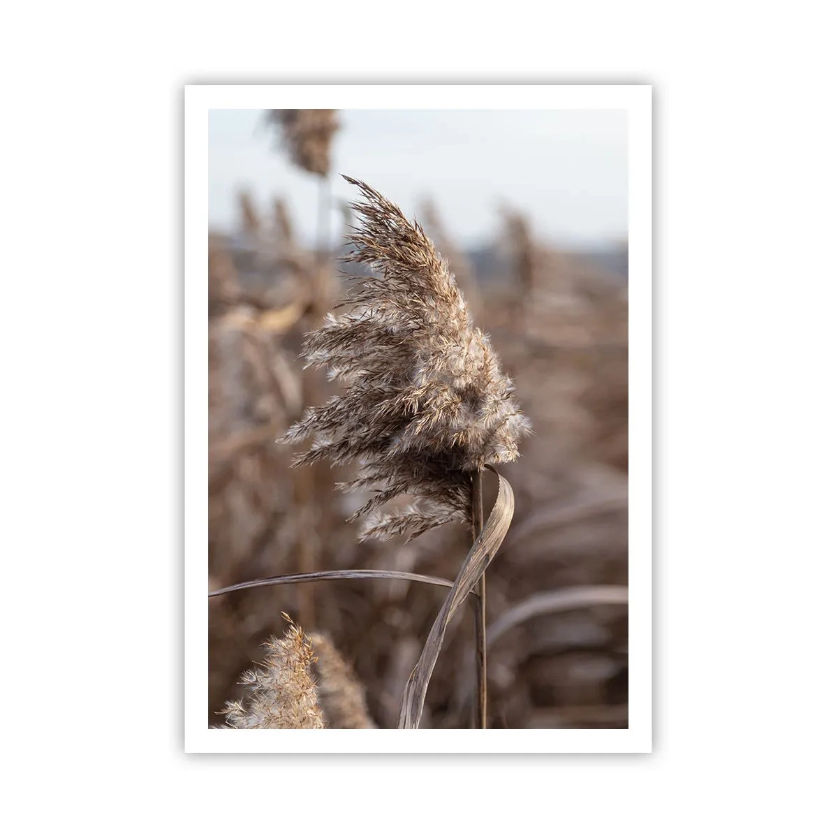 Affiche - Poster - Il est temps de s'envoler avec le vent - 70x100 cm