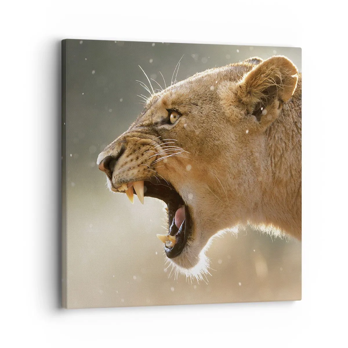 Impression sur toile - Image sur toile - Essayez  de ne pas écouter - 30x30 cm