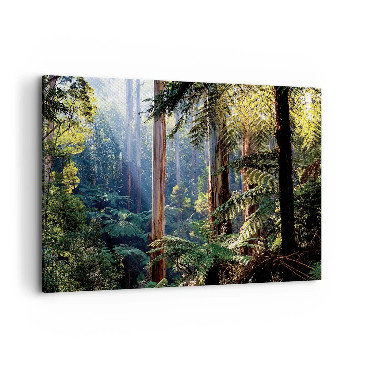 Impression sur toile - Image sur toile - Forêt tropicale illuminée par les rayons du soleil - 120x80cm - Fable de la forêt - Décoration murale moderne pour le salon et la chambre ARTTOR