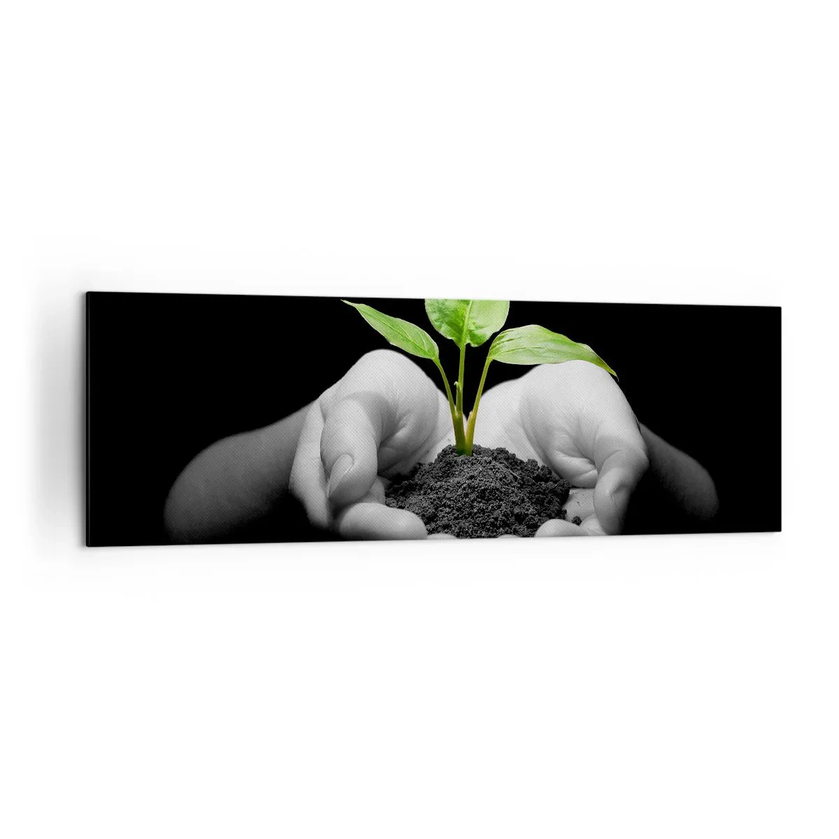 Impression sur toile - Image sur toile - Mains tenant une plante verte sur fond noir - 160x50cm - J'aime la nature, je la protège - Décoration murale moderne pour le salon et la chambre ARTTOR