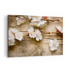 Impression sur toile - Image sur toile - Branches de cerisiers en fleurs sur fond de planche de bois - 100x70cm - Et c'est devenu le printemps - Décoration murale moderne pour le salon et la chambre ARTTOR