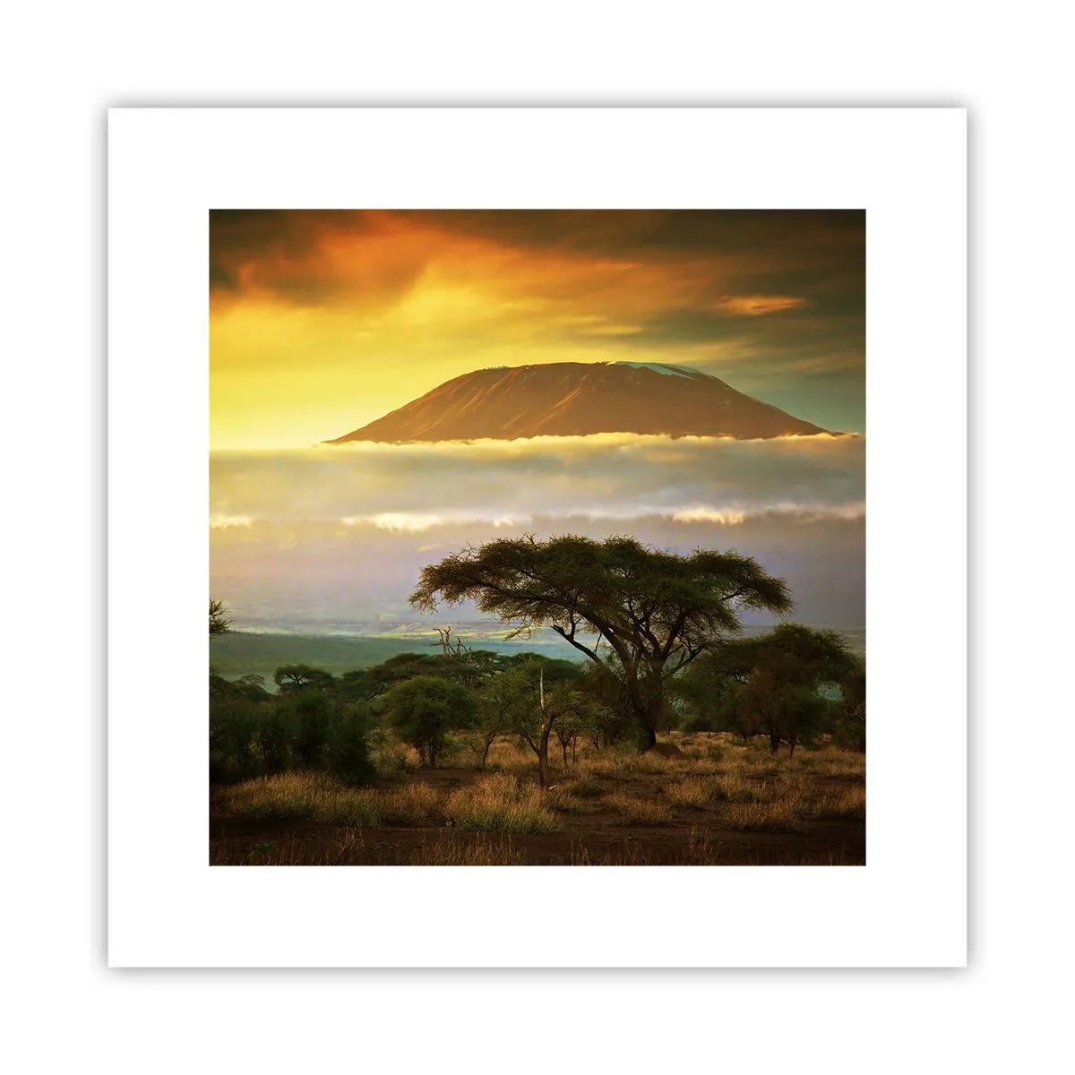 Affiche - Poster - Un rêve de voyageur - 30x30 cm