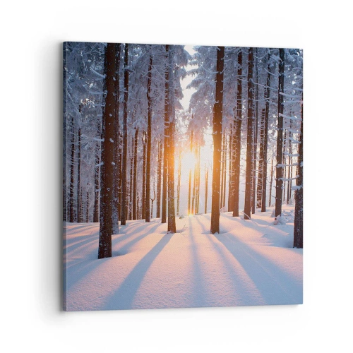 Impression sur toile - Image sur toile - Clairement en noir et blanc - 70x70 cm