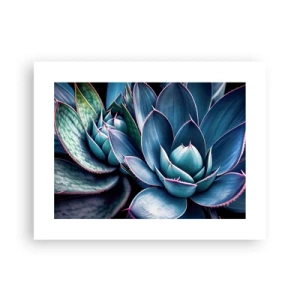 Affiche - Poster - Force vital - 40x30 cm