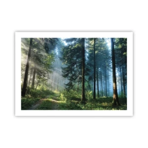 Affiche - Poster - Rayonnant le matin - 70x50 cm