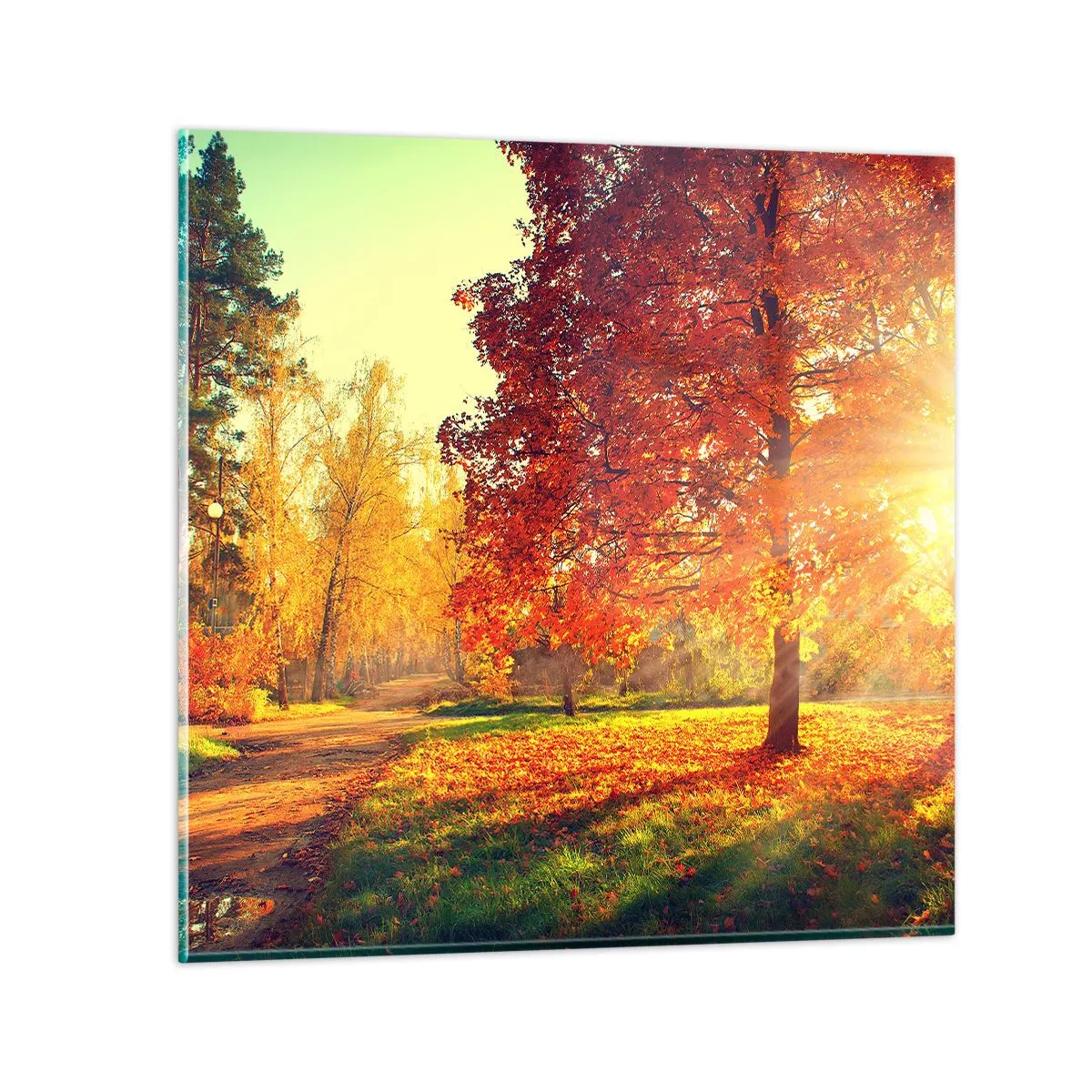 Impression sur verre - Image sur verre - Le roux est beau - 40x40 cm