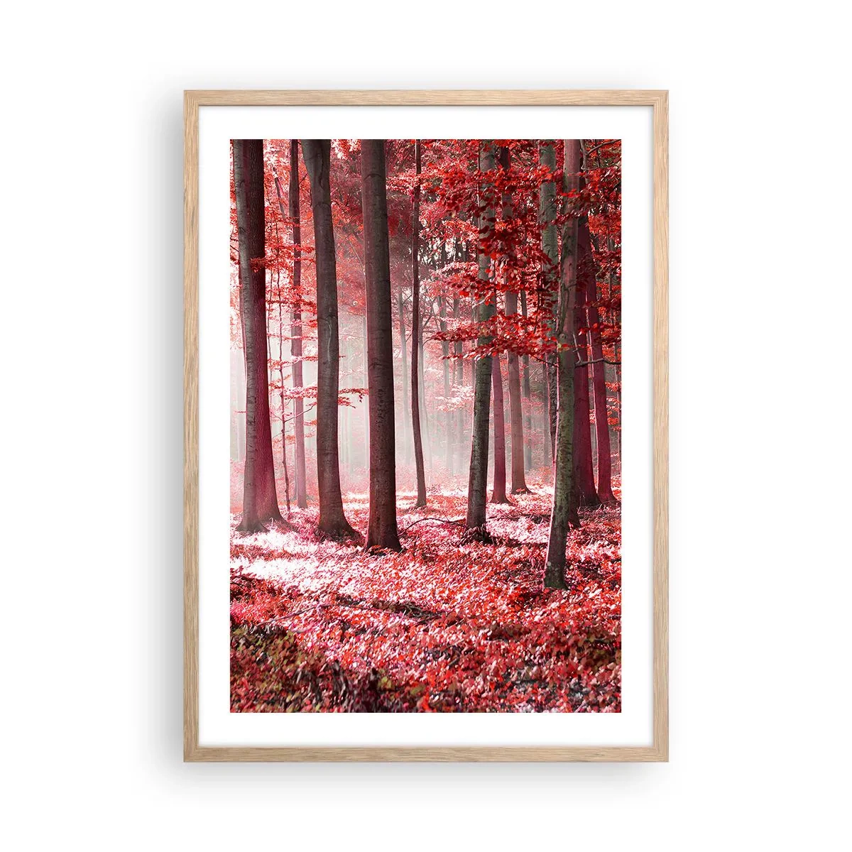Affiche dans un chêne clair - Poster - Le rouge est tout aussi beau - 50x70 cm