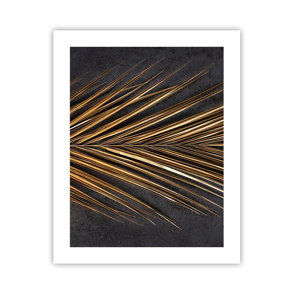 Affiche - Poster - L'or des tropiques - 40x50 cm