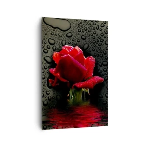 Impression sur toile - Image sur toile - Rose rouge avec des gouttes d'eau sur un fond sombre - 80x120cm - Rouge et noir - Décoration murale moderne pour le salon et la chambre ARTTOR