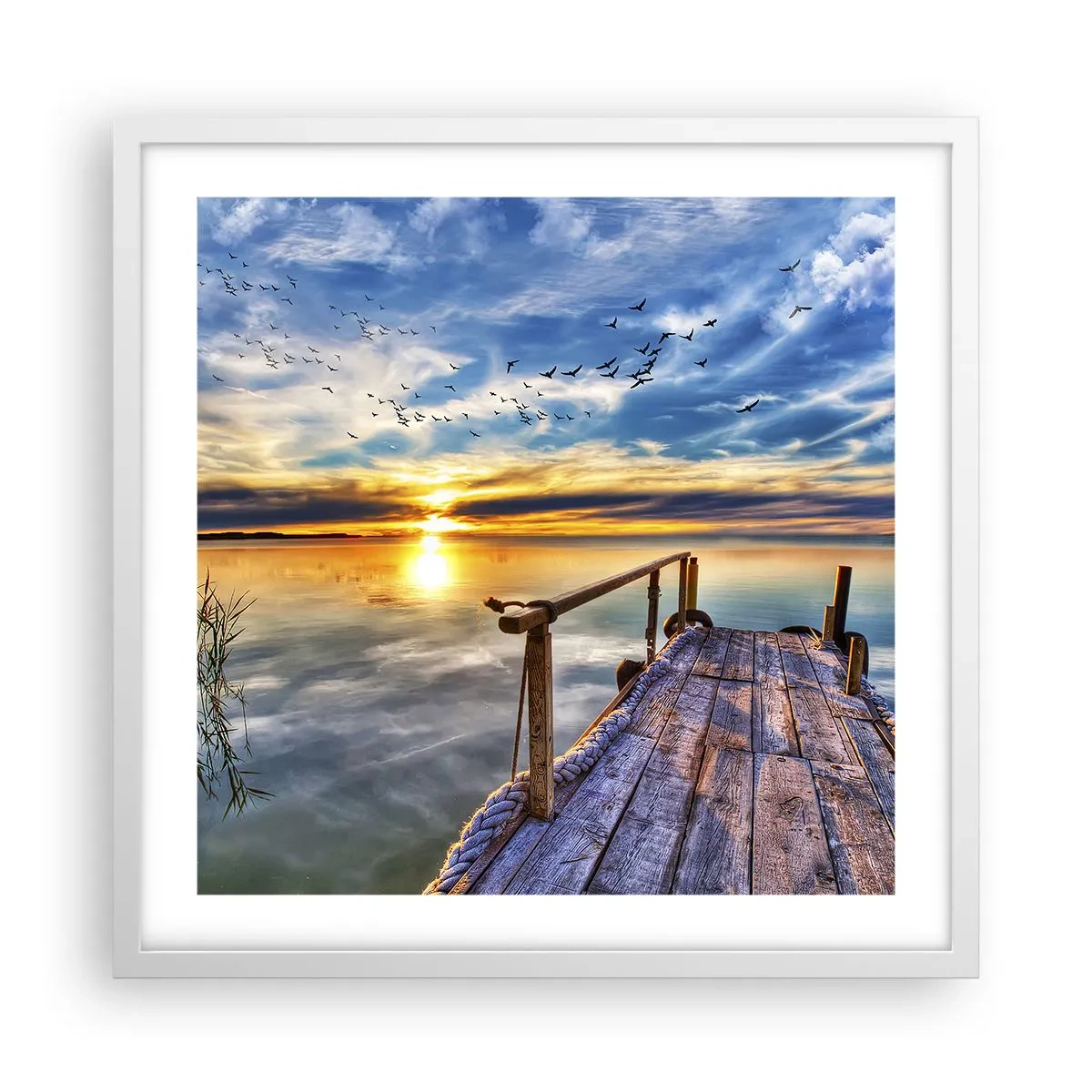 Affiche dans un cadre blanc - Poster - Le vent se repose - 50x50 cm