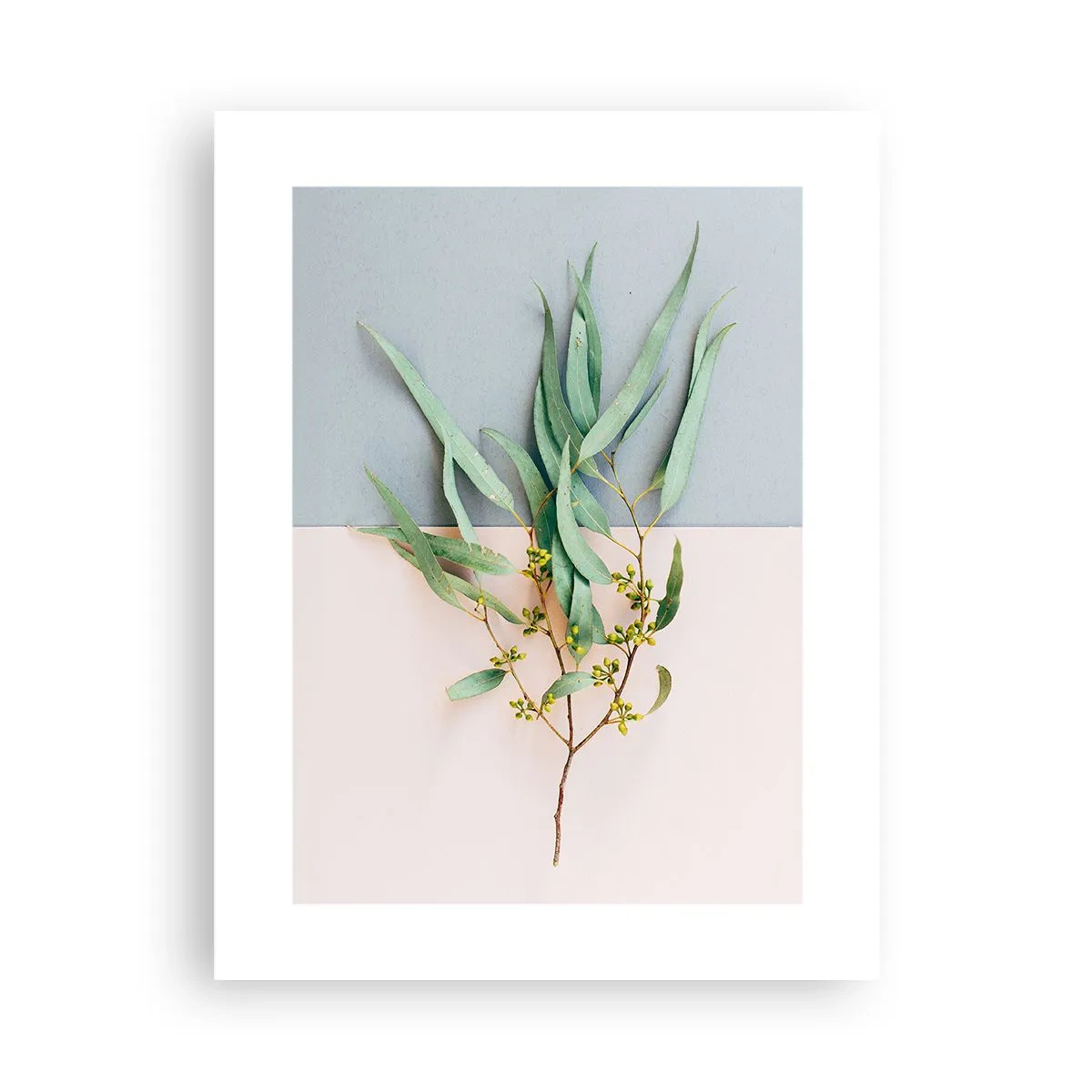 Affiche - Poster - Subtilité pastel - 30x40 cm