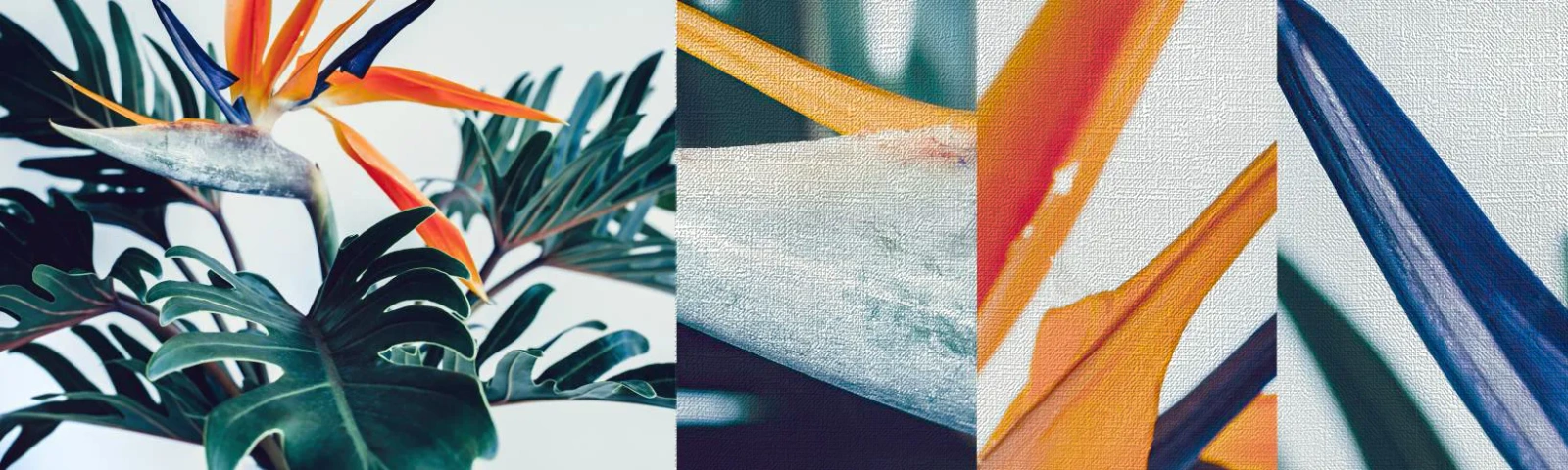 Échantillon de Papier Peint Premium Canvas - Le buisson oiseaux - Plantes, Bohème, Exotique - 100x30 cm