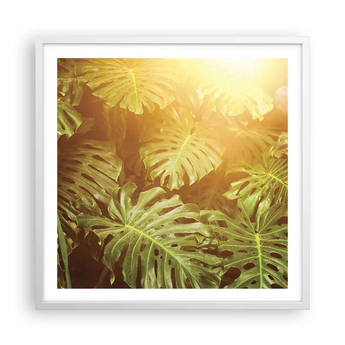 Affiche dans un cadre blanc - Poster - Se fondre dans la verdure - 60x60 cm