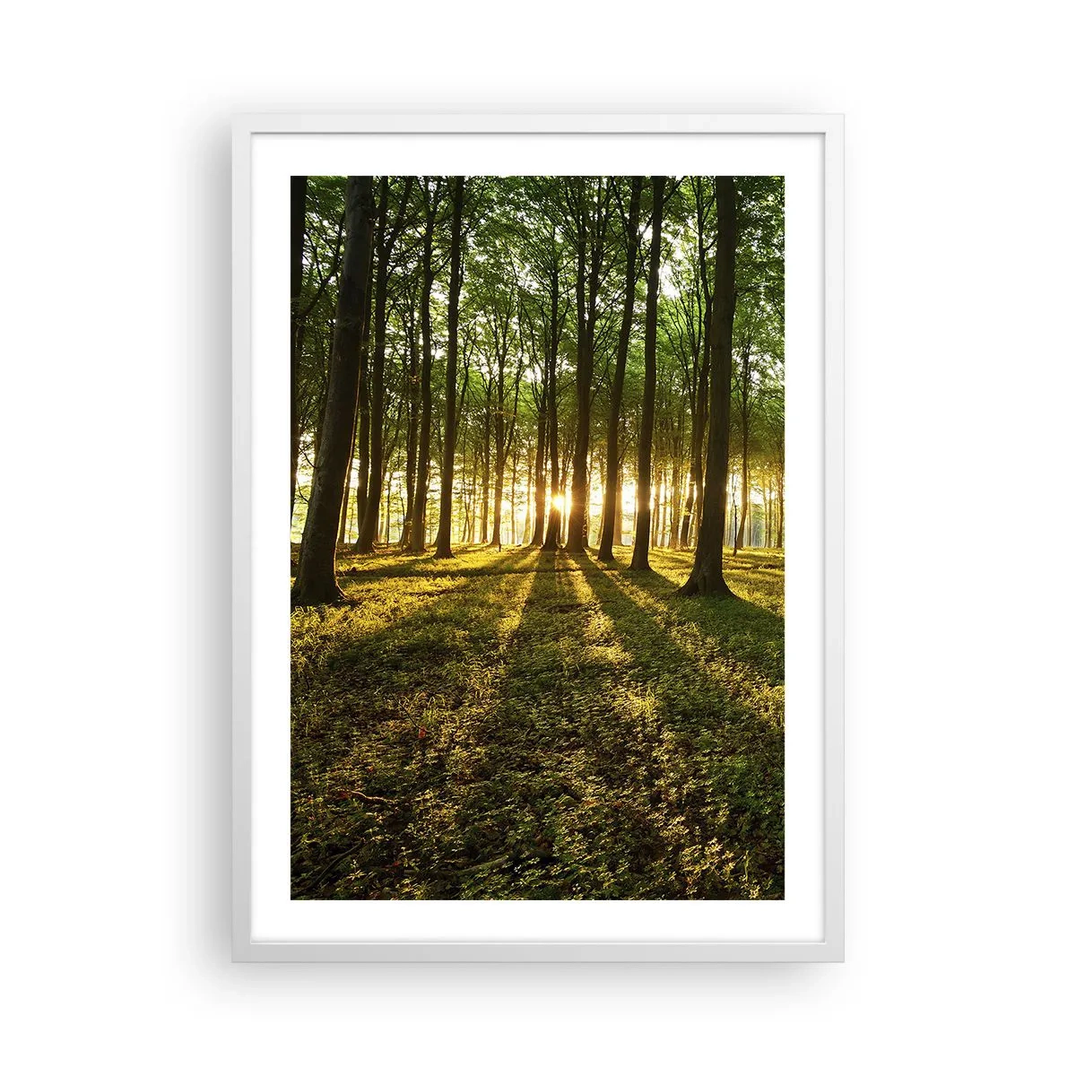 Affiche dans un cadre blanc - Poster - Toutes les photographies de printemps - 50x70 cm