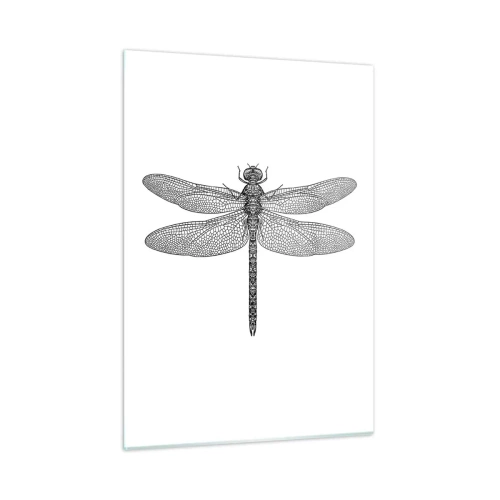 Impression sur verre - Image sur verre - Illustration détaillée d'une libellule dans un style de gravure sur fond blanc - 50x70cm - Précision de la nature - Décoration murale moderne pour le salon et la chambre ARTTOR
