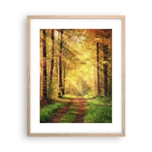 Affiche dans un chêne clair - Poster - Silence d'or en forêt - 40x50 cm