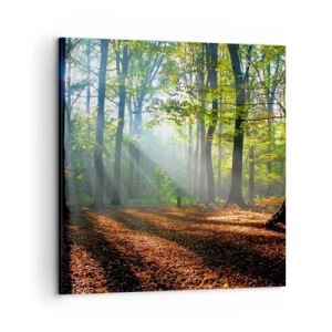 Impression sur toile - Image sur toile - Ombres et lumières - 50x50 cm