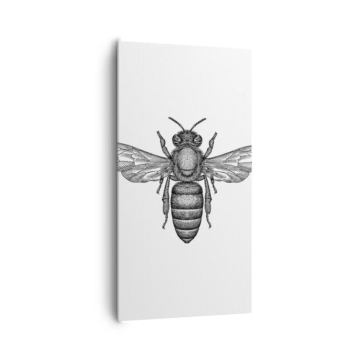 Impression sur toile - Image sur toile - Portrait d'insecte - 65x120 cm